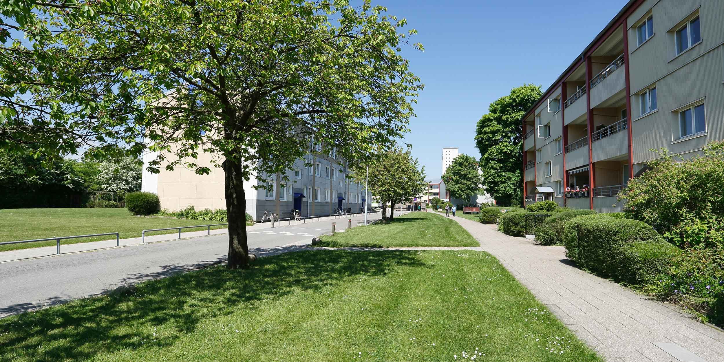 services 3d lutte anti-nuisibles écoles