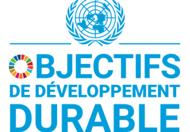 LOGO OBJECTIFS DE DÉVELOPPEMENT DURABLE (ODD)