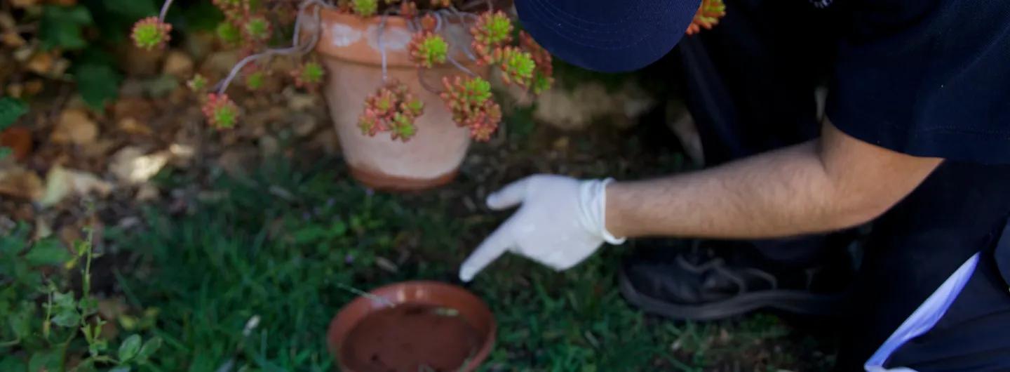 inspection moustiques 