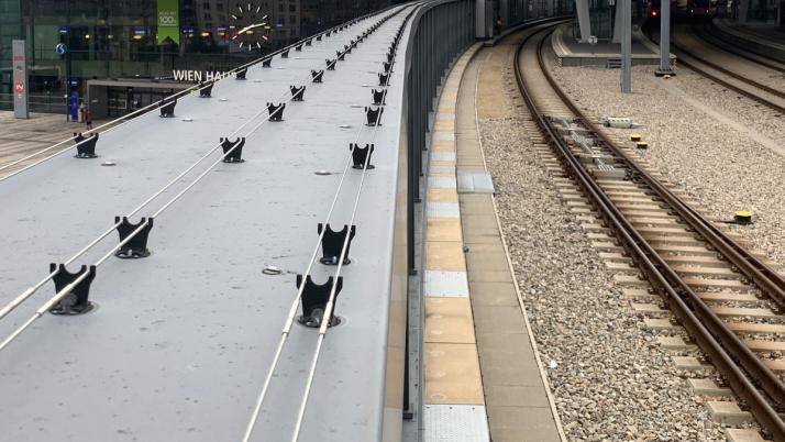 Câbles anti-oiseaux