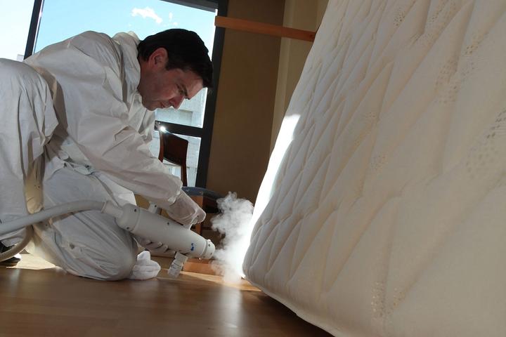 Mise en place traitement anti punaises de lit par un technicien Anticimex