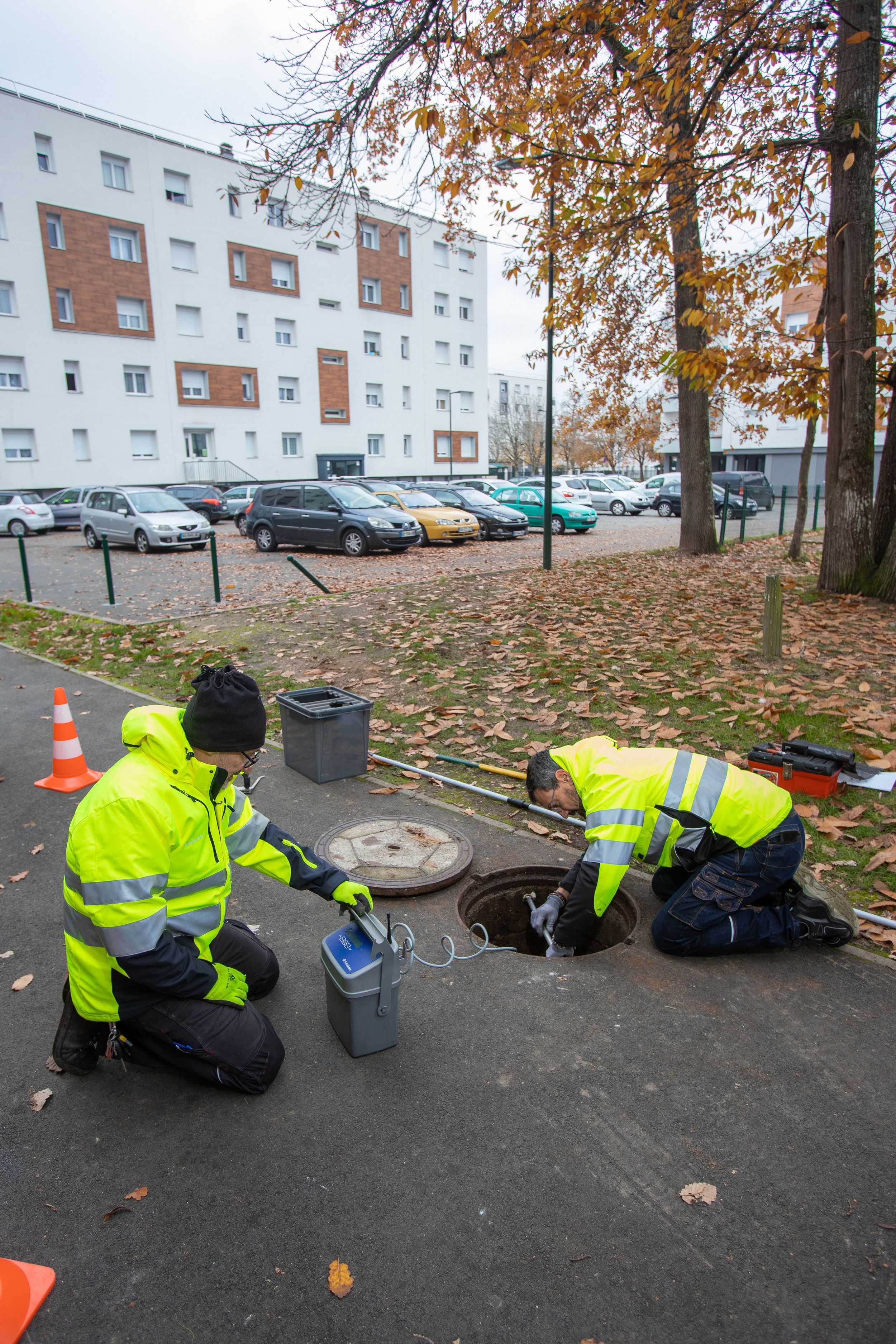 Dératisation dans les égouts à Valence