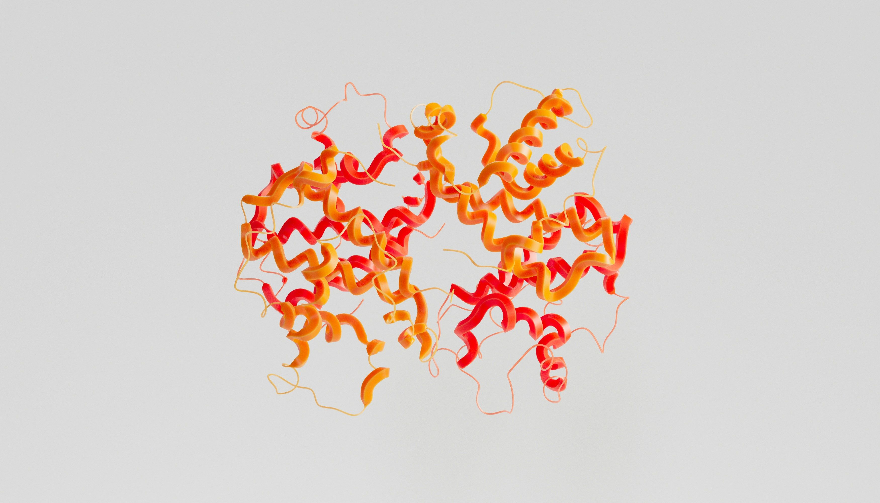 la leptospirose, bactérie transmise par les rats