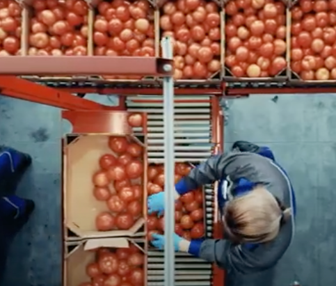 l'industrie agroalimentaire 