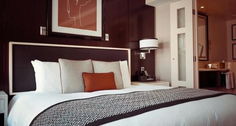 Gestion des nuisibles dans les hôtels