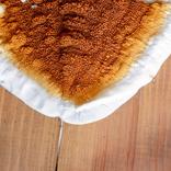 traitement contre la mérule