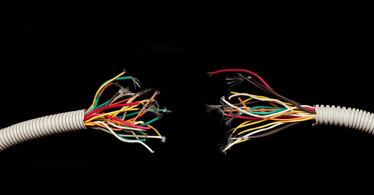 services 3d lutte anti-nuisibles énergies télécoms réseaux