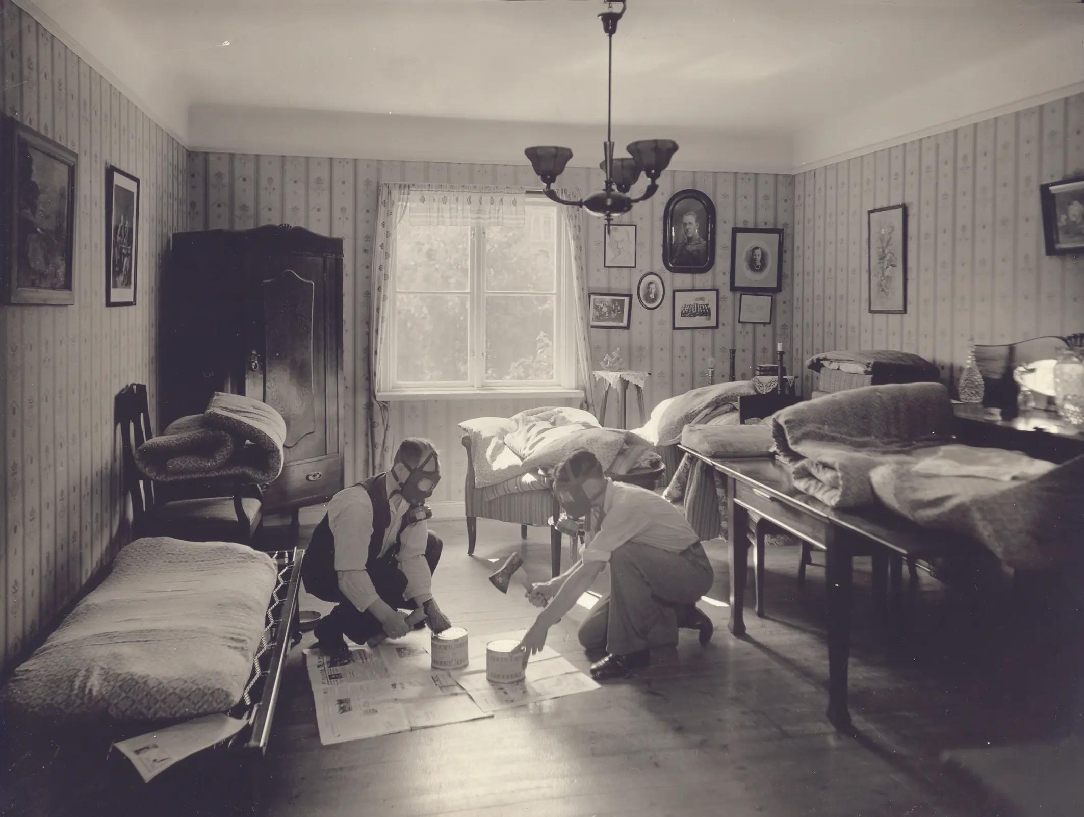 d'où viennent les punaises de lit