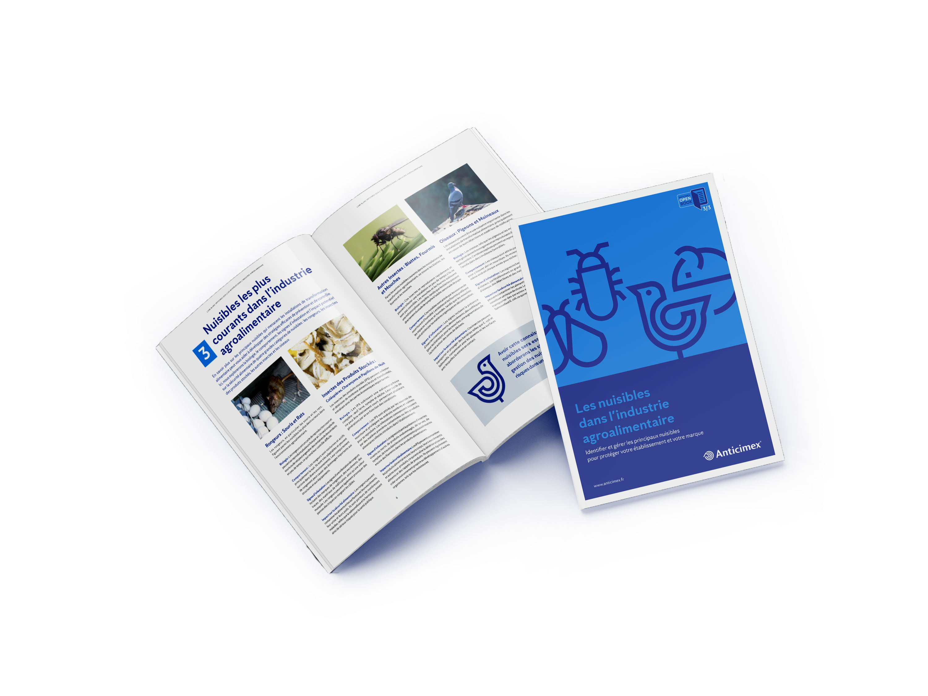 Téléchargement gratuit du guide pratique sur les nuisibles dans l'industrie agroalimentaire