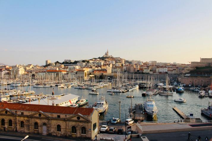 frelon oriental à Marseille