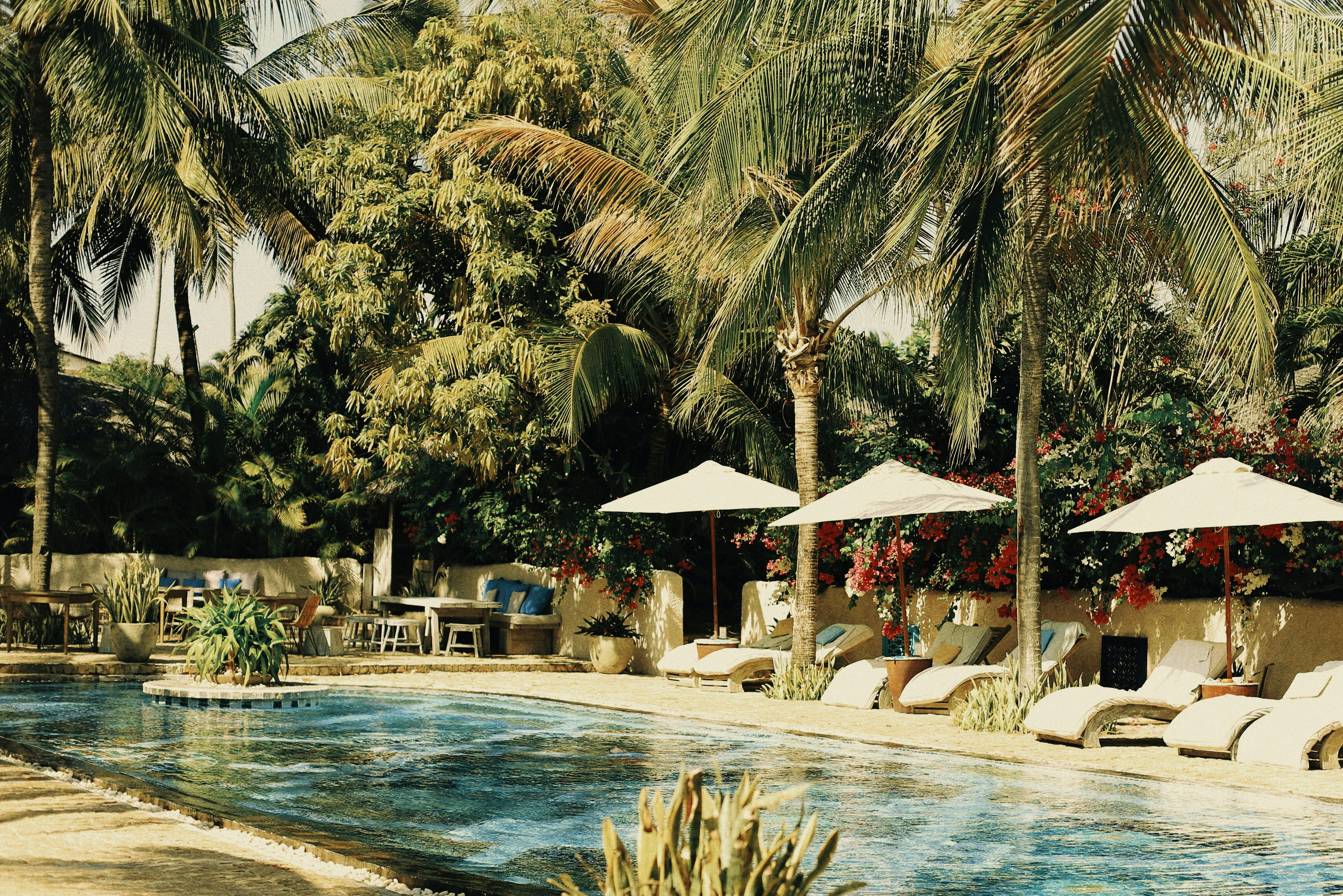 Gestion des nuisibles en hôtellerie pour les managers : Prévention et Contrôle