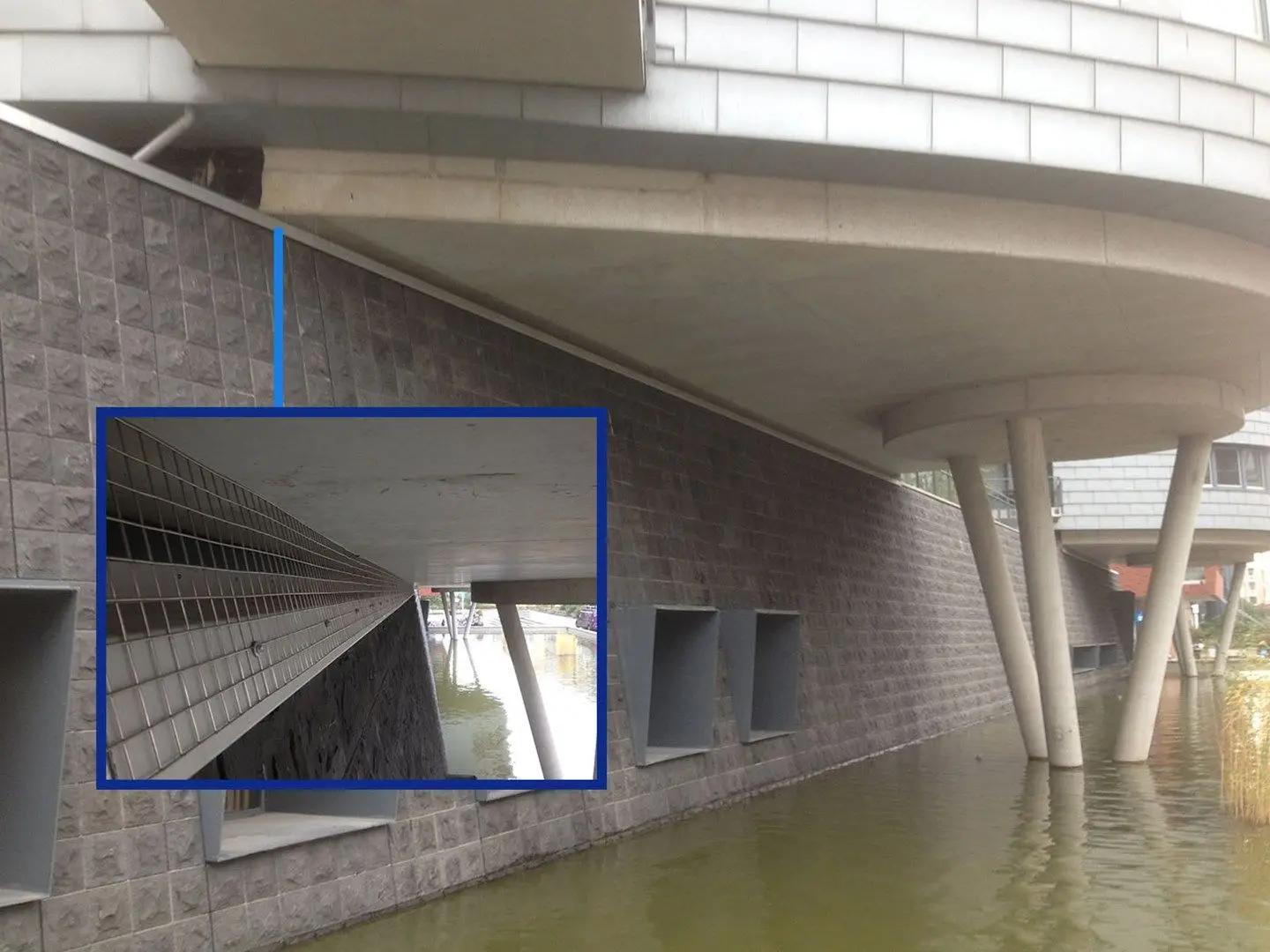 nidification de pigeons sous les bâtiments