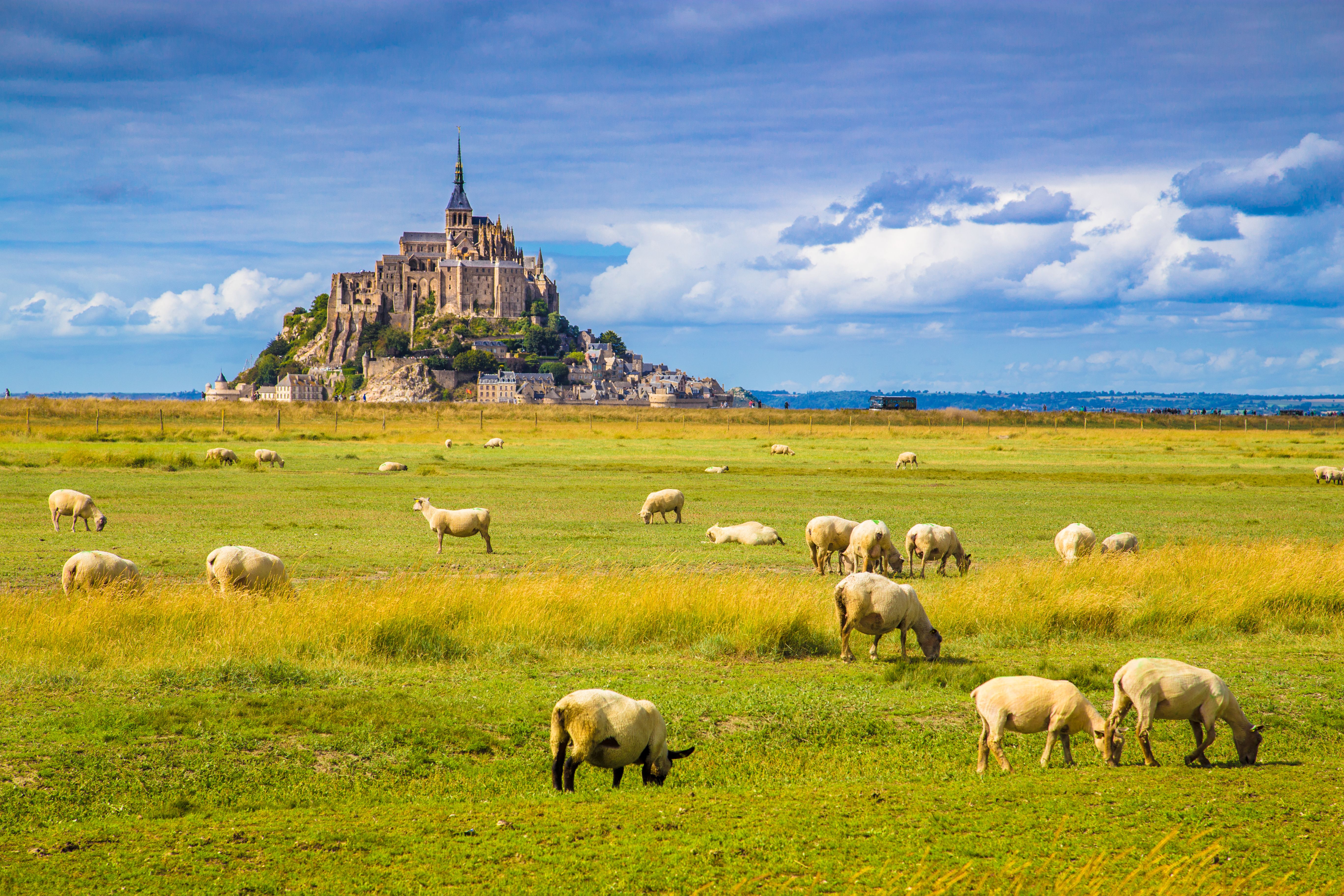 Préservation du patrimoine du Mont Saint Michel 