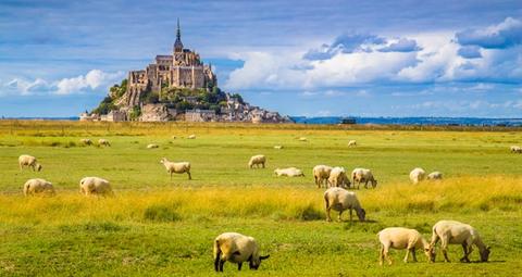  lutte contre les nuisibles : préservation du patrimoine du Mont-Saint-Michel