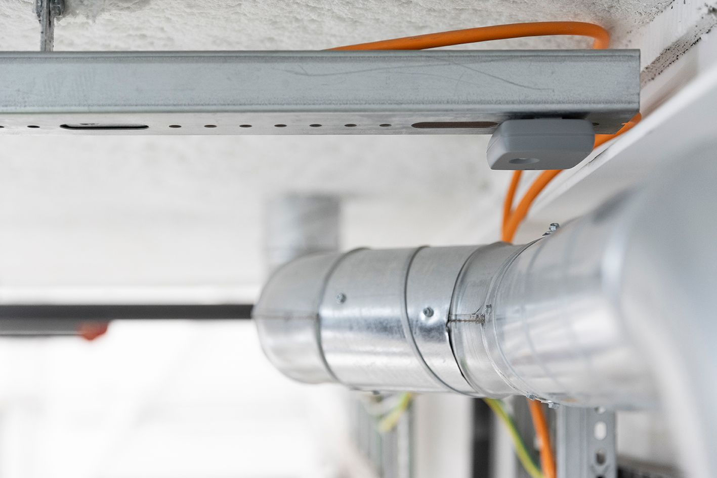 Détection précoce des parasites grâce à la surveillance Anticimex SMART