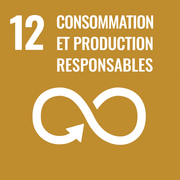 Icone ODD - Consommation et production responsables 