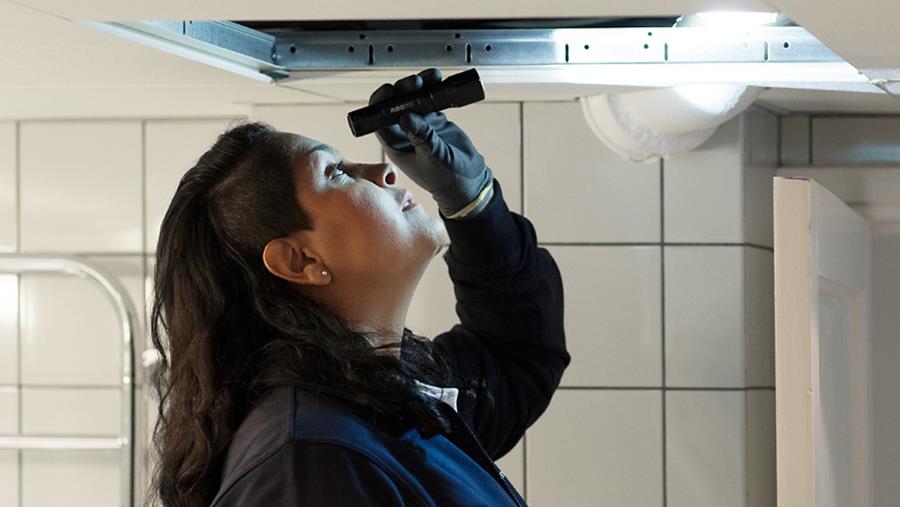 Inspection de votre établissement pour lutter contre les nuisibles 