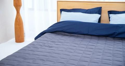 Se débarrasser des punaises de lit