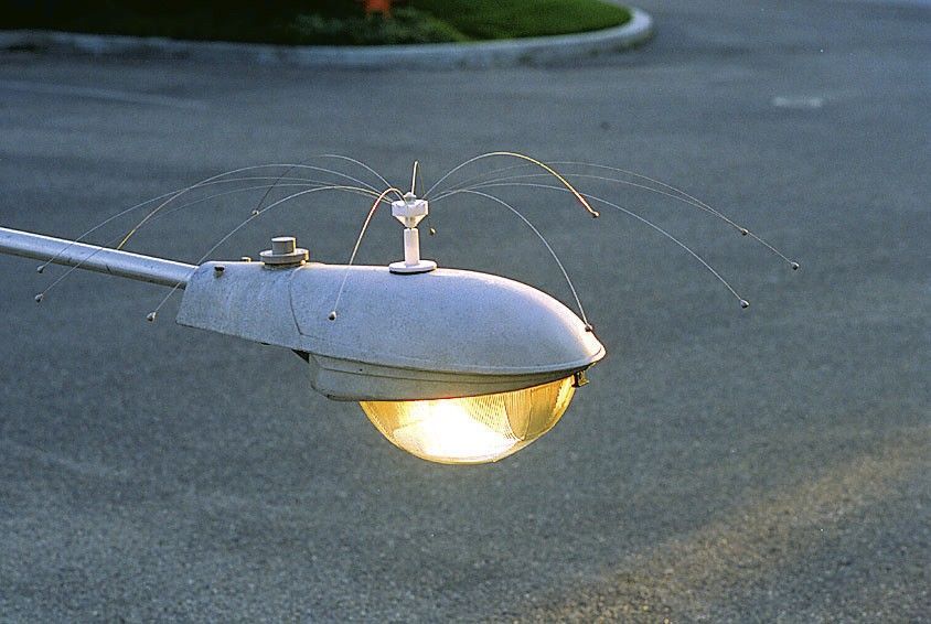 effaroucheur écologiques pour oiseaux 