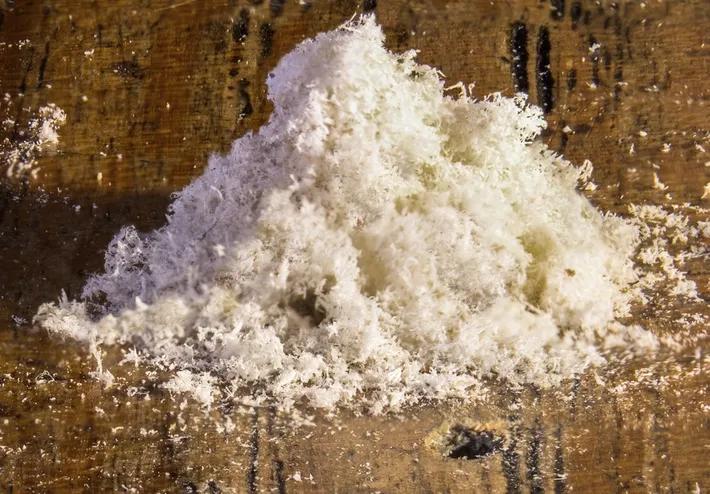 signe de présence de vers à bois 