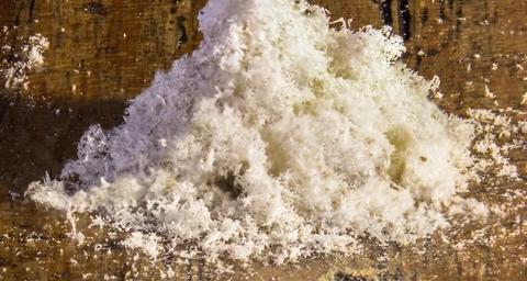 signe de présence de vers à bois