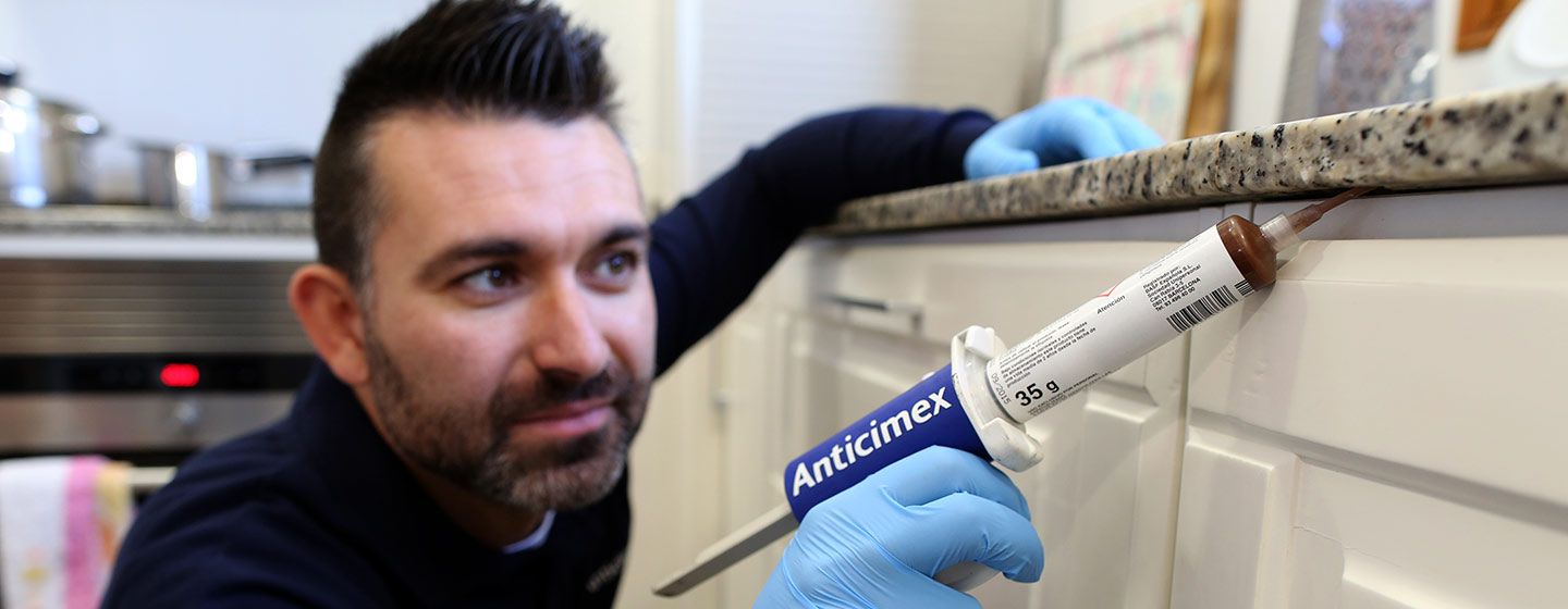 Lutte contre les blattes dans les entreprises