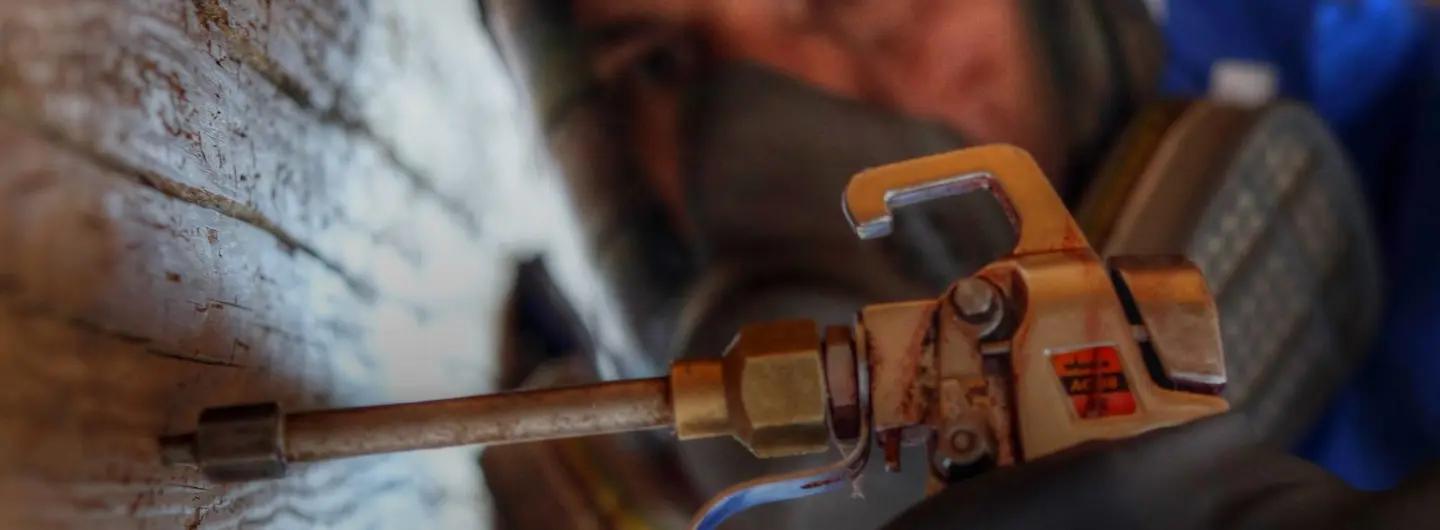 traitement vers à bois