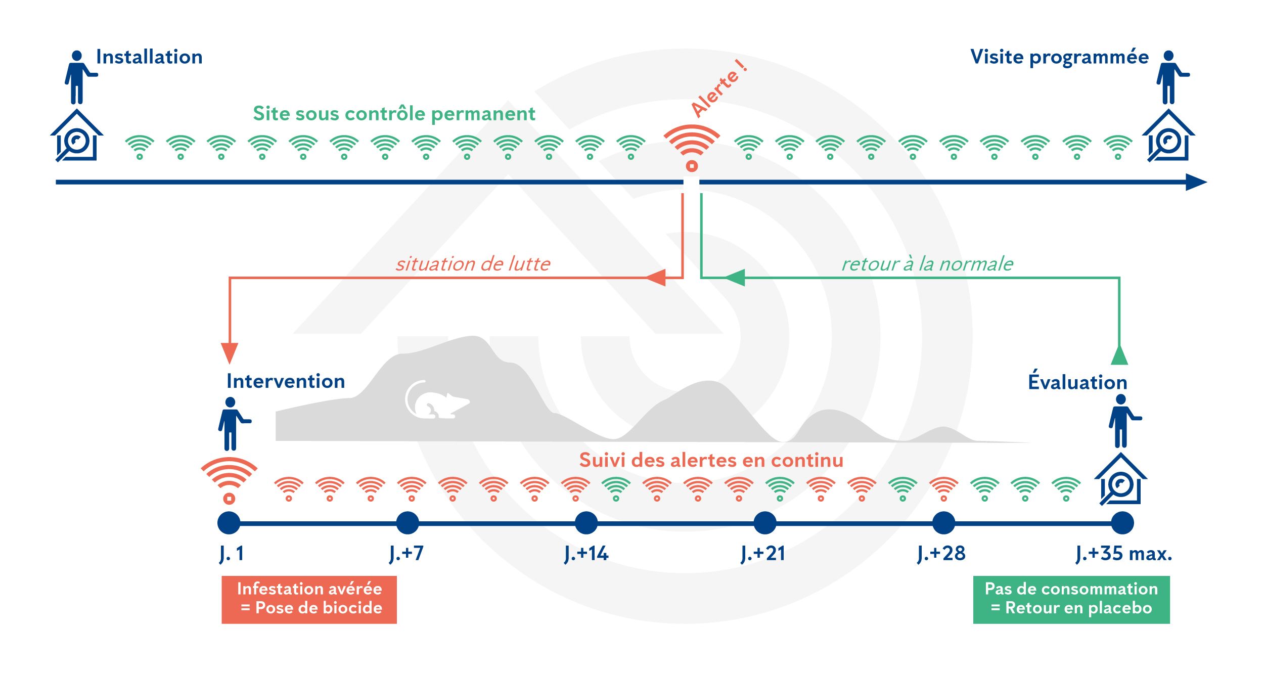 Fonctionnement de notre dispositif de contrôle continu des nuisibles