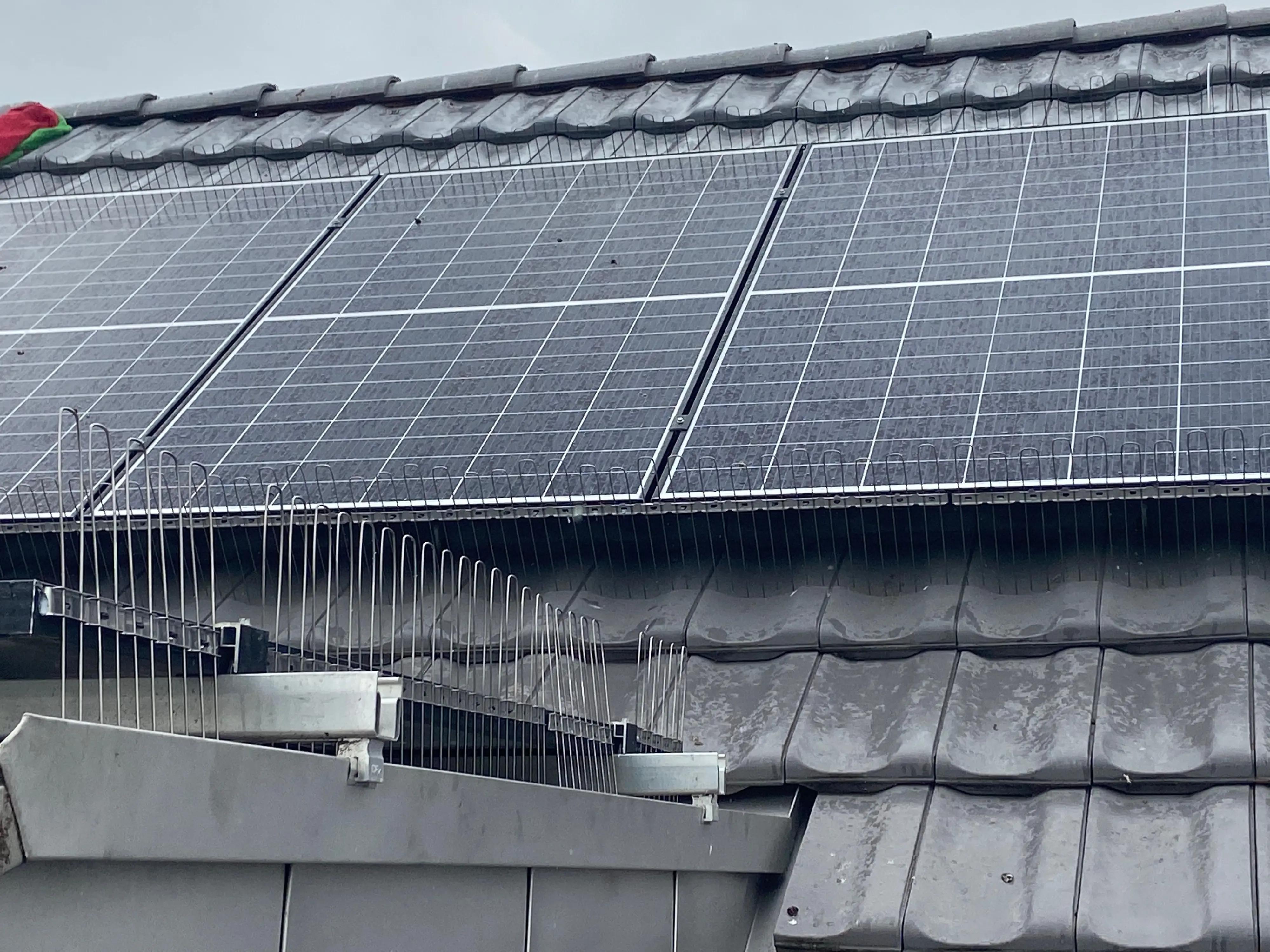 controle des oiseaux grâce aux pics anti-oiseaux 