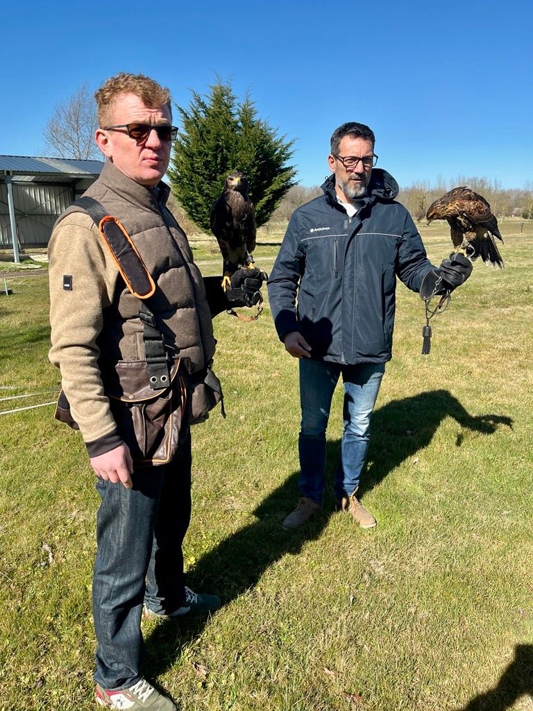 fauconnerie-furetage-etude-cas Anticimex