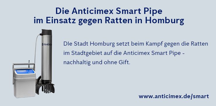 Anticimex Smart Pipe Rattenbekämpfung Homburg