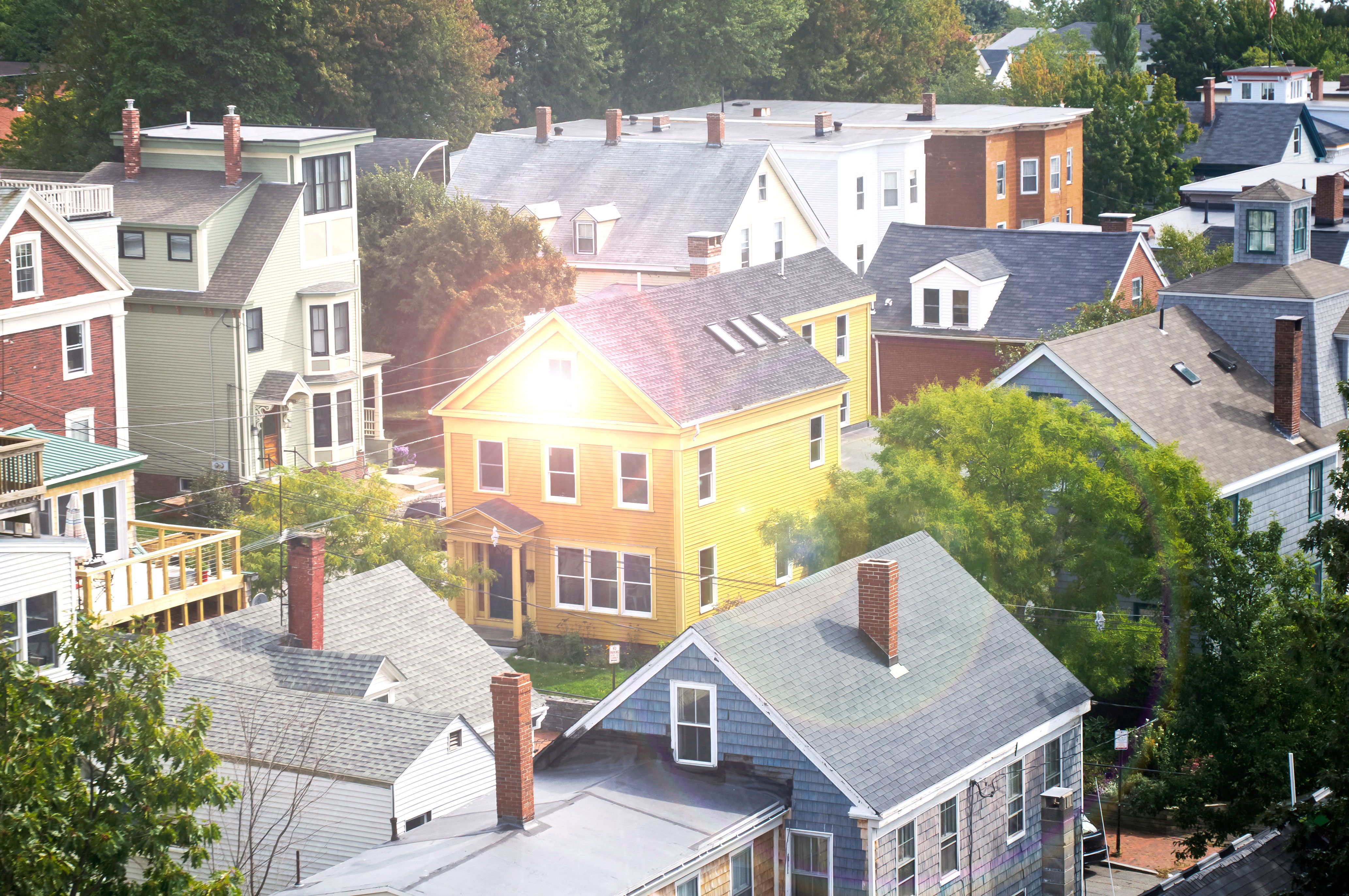 Anticimex Kammerjäger in Pulheim