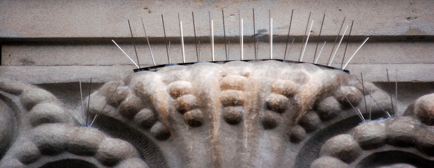 vogelabwehr taubenspikes