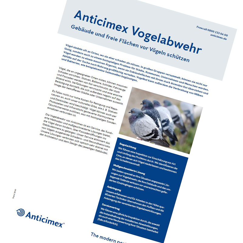 Anticimex Vogelabwehr Flyer