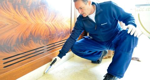 kakerlaken bekämpfen im haus