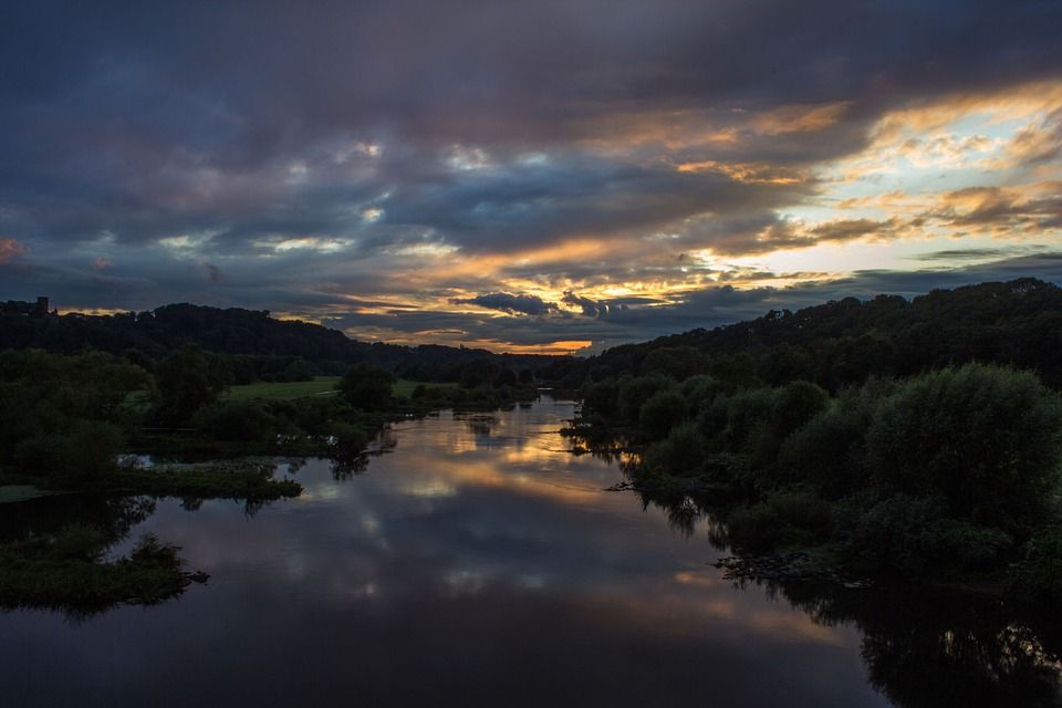 Anticimex Kammerjäger in Bochum