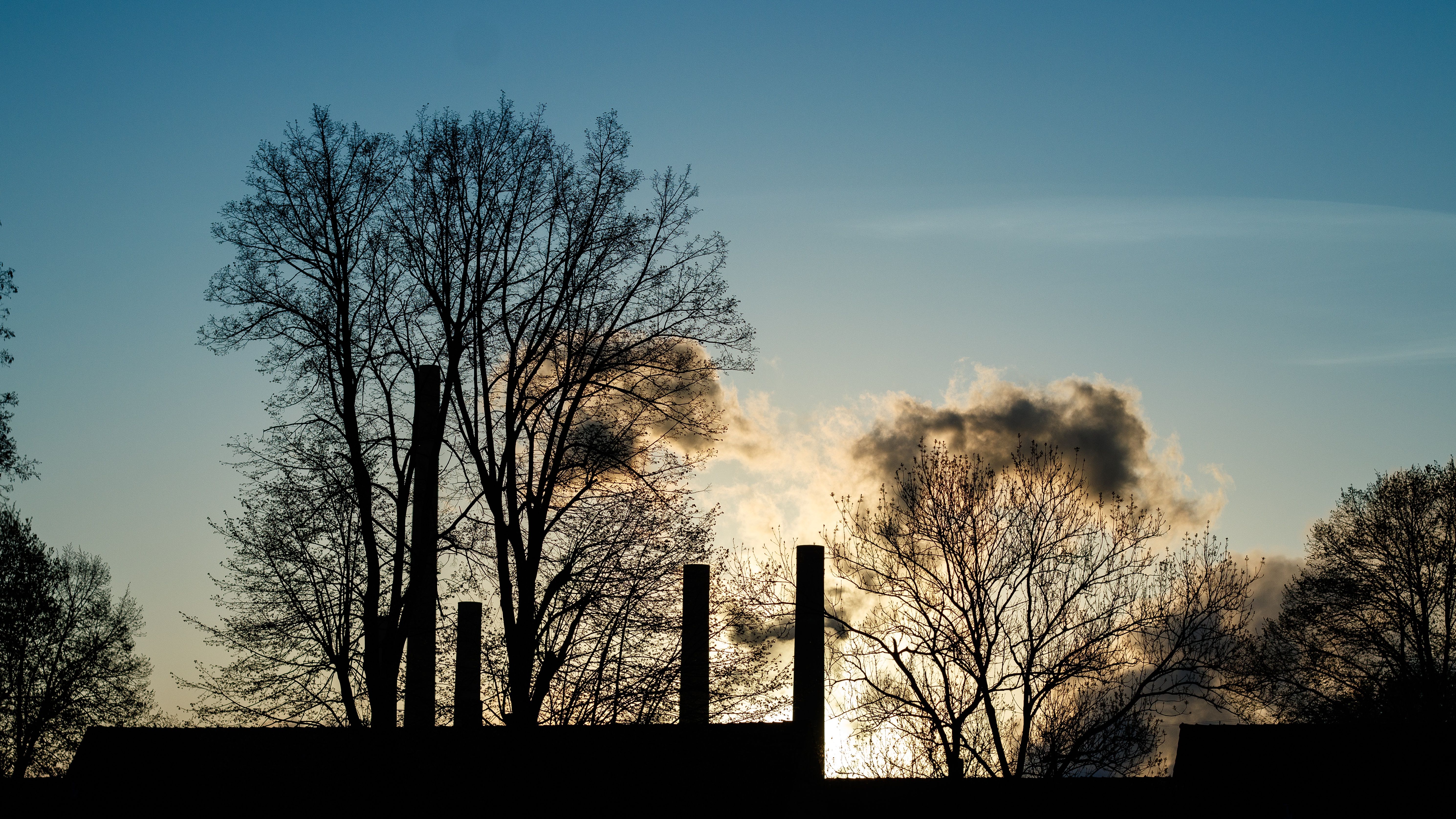 Anticimex Kammerjäger in Salzgitter