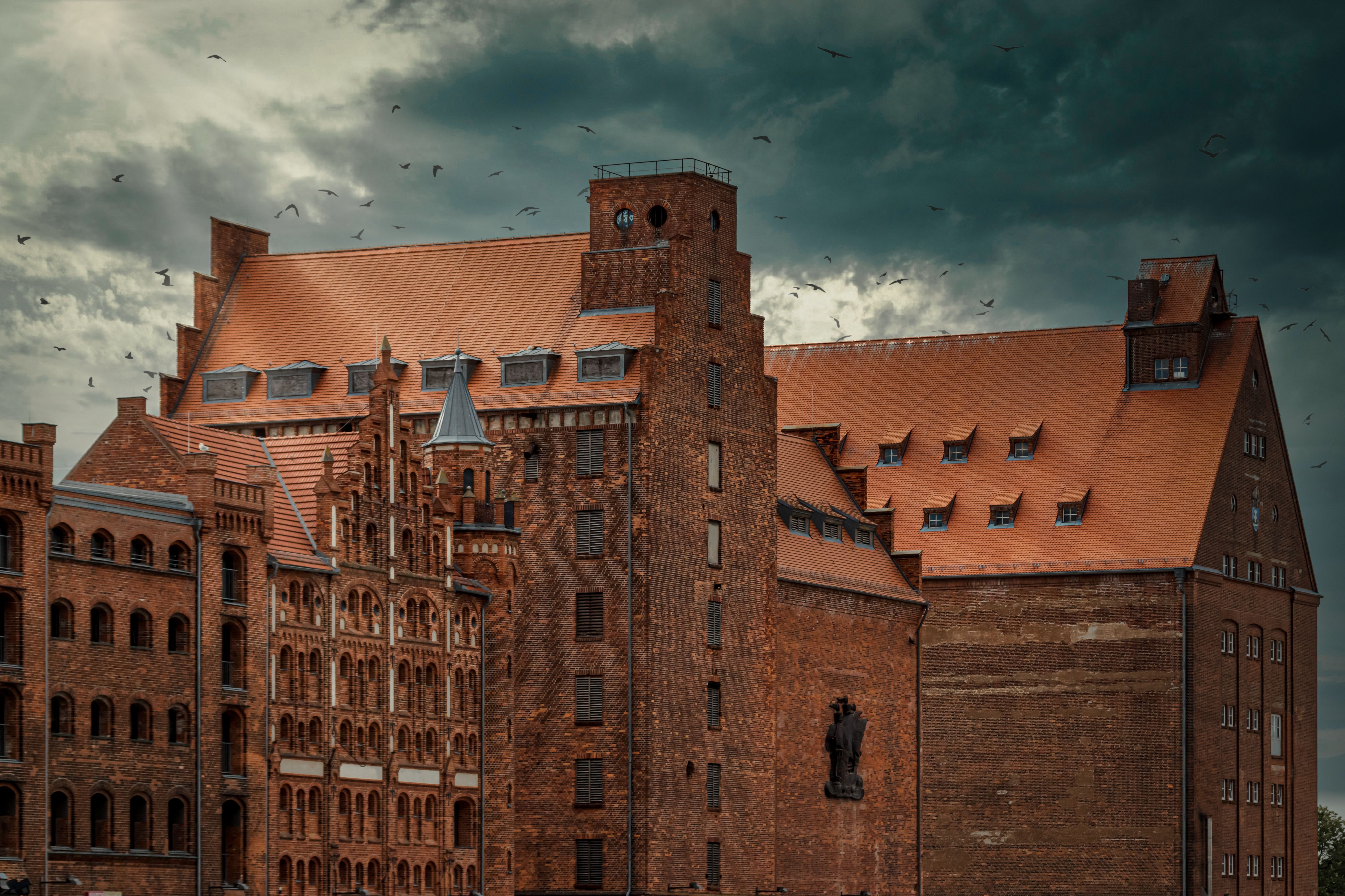 Anticimex Kammerjäger in Würzburg