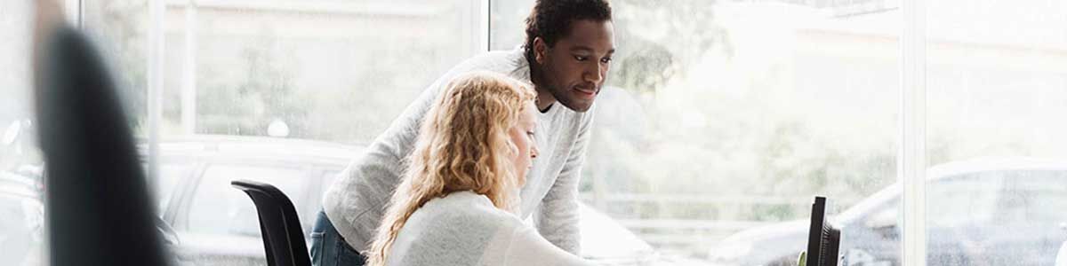 Projektmanager Taubenabwehr