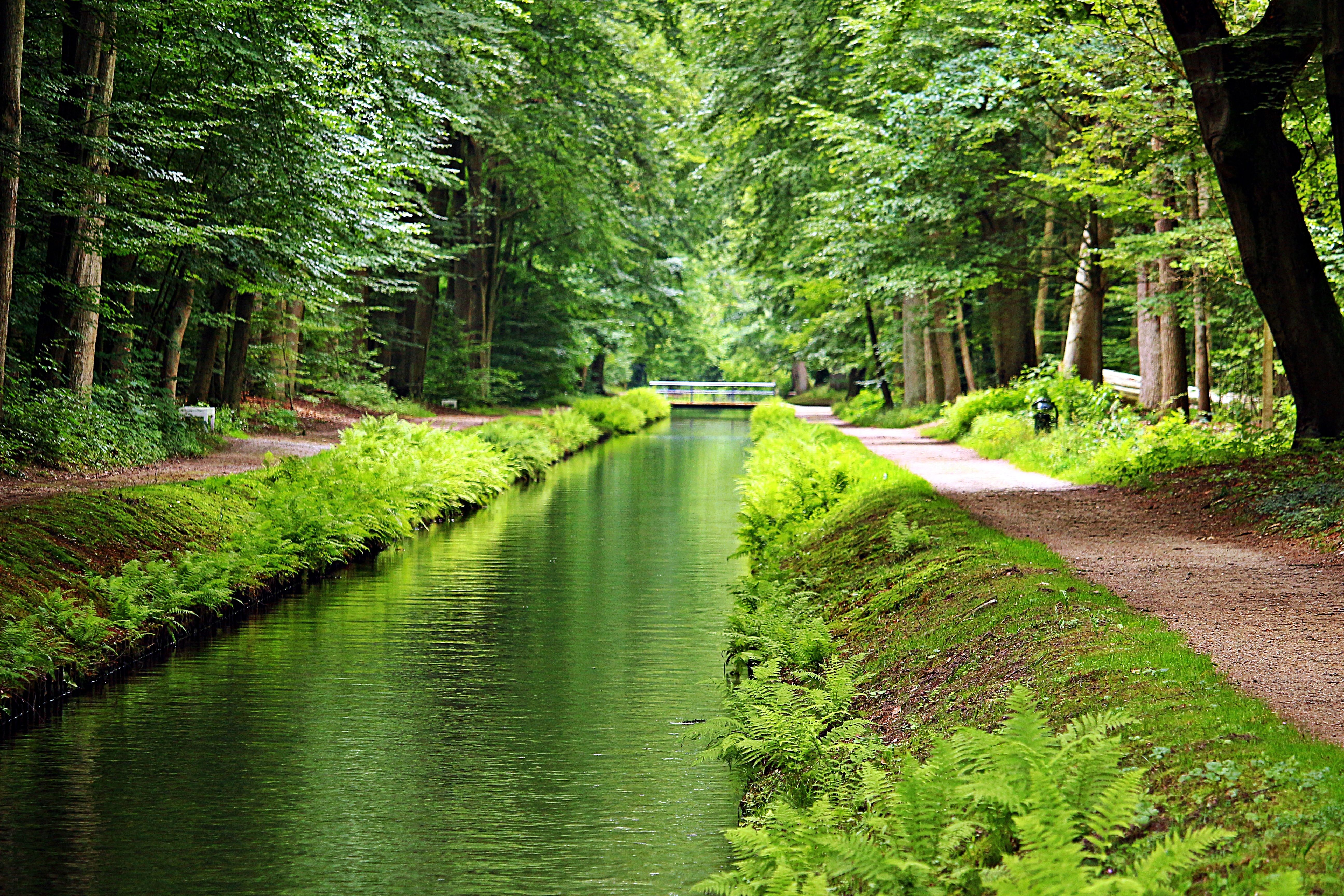 Anticimex Kammerjäger in Ludwigslust