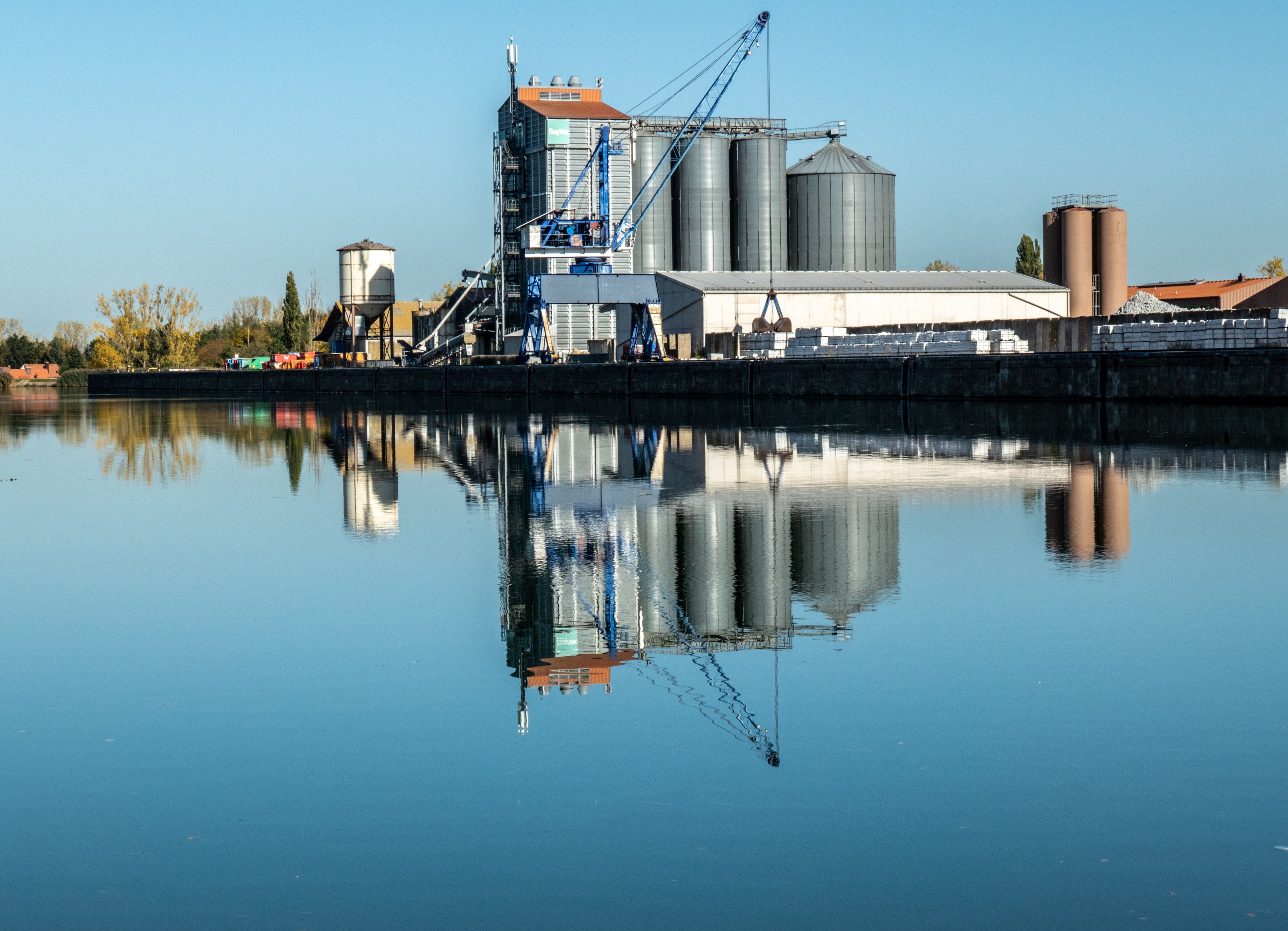 Professionelle Schädlingsbekämpfung ohne gift