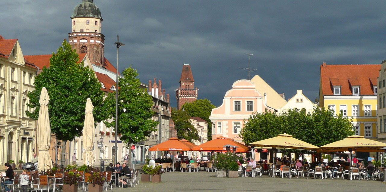 Professionelle Schädlingsbekämpfung ohne gift