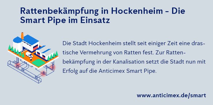 Rattenbekämpfung Hockenheim - Anticimex Smart Pipe