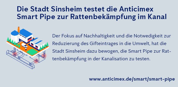 Rattenbekämpfung Sinsheim - Anticimex Smart Pipe