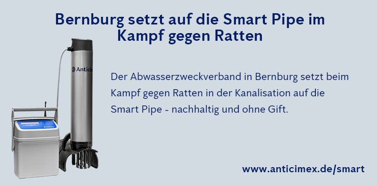 Anticimex Smart Pipe Rattenbekämpfung Bernburg