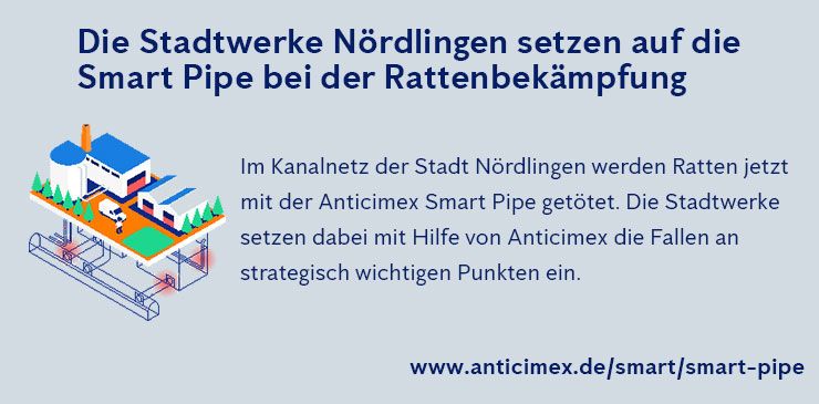 Rattenbekämpfung Nördlingen - Anticimex Smart Pipe