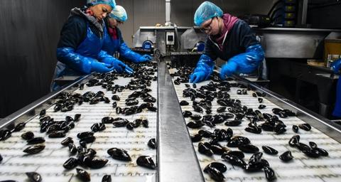 Integriertes Schädlingsmanagement in der Lebensmittelindustrie