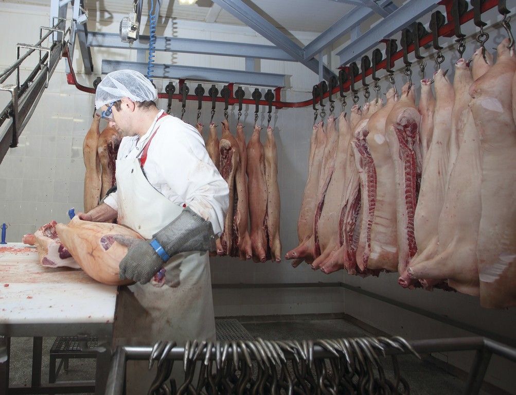 Lebensmittelproduktion