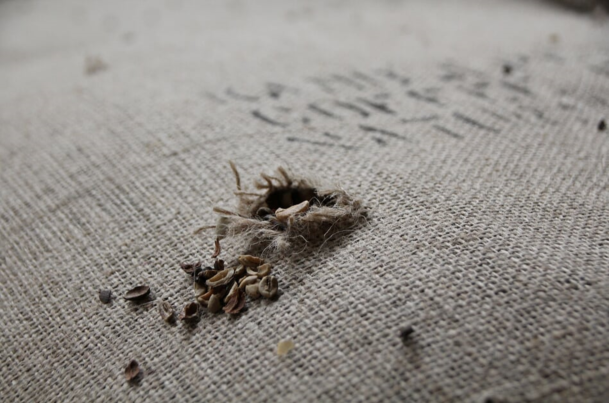  Lebensmittelkontamination