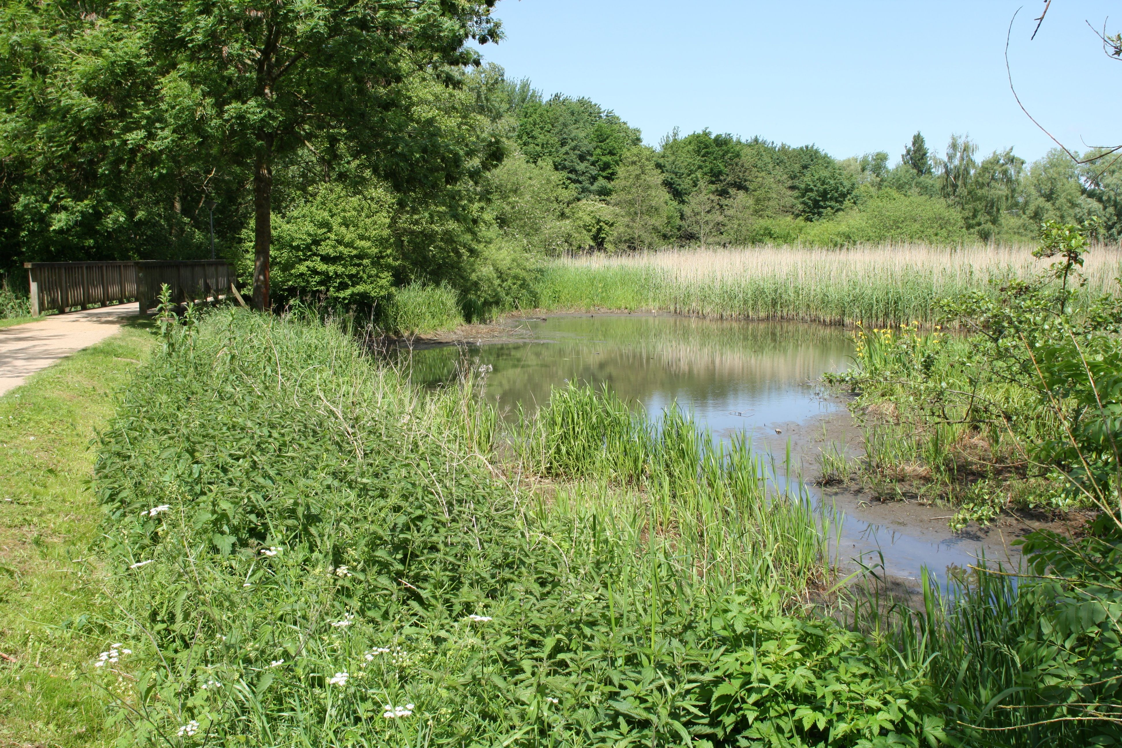 Professionelle Schädlingsbekämpfung ohne gift